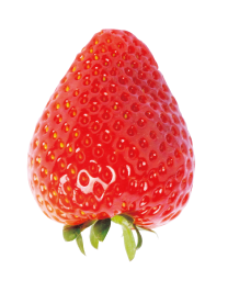 栃爱香草莓